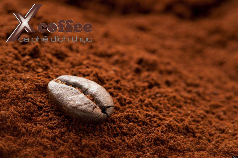 A solitary coffee bean on a mound of fresh coffee grounds