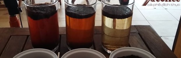Thí nghiệm phân biệt cà phê sạch và cà phê bẩn