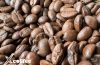 Hình ảnh hạt Moka Cầu Đất của Xcoffee